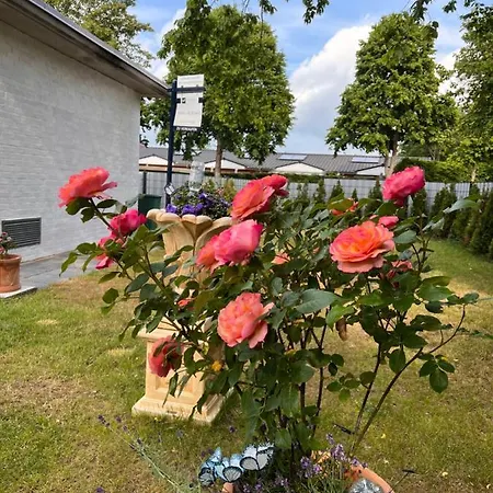 Casa Rehman *